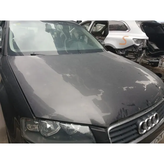 Capot para Audi A3 (8P1)