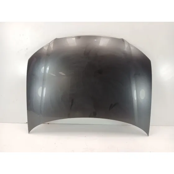 Capot para Audi A3 (8P1)