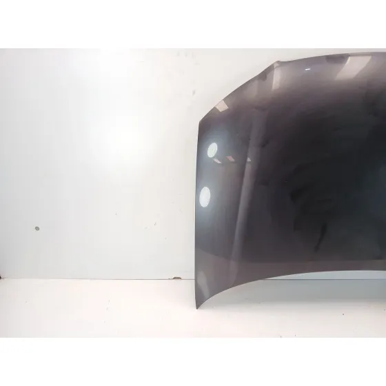 Capot para Audi A3 (8P1)
