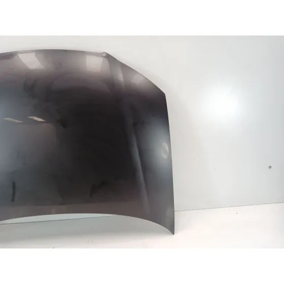 Capot para Audi A3 (8P1)