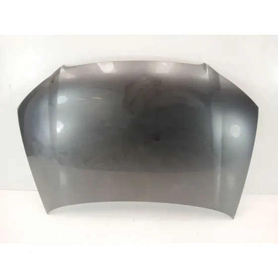 Capot para Audi A3 (8P1)