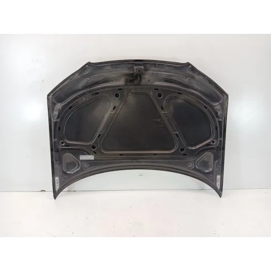 Capot para Audi A3 (8P1)