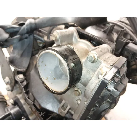 Motor Completo para Renault Clio Iii (Br0/1, Cr0/1)
