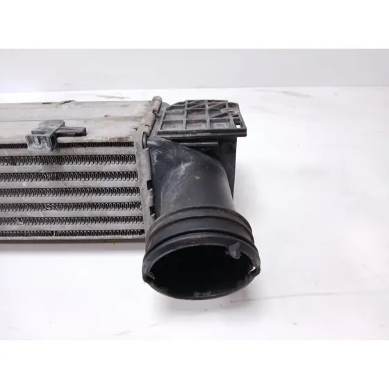 Intercooler para Bmw 3 Touring (E91)