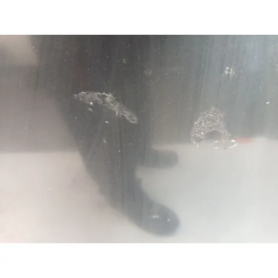 Capot para Nissan Qashqai I (J10, Nj10)