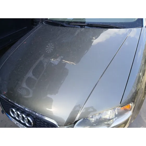 Capot para Audi A4 B7 Descapotable (8He)