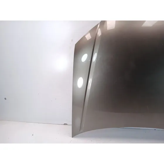 Capot para Audi A4 B7 Descapotable (8He)