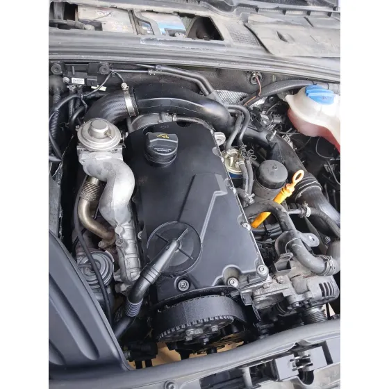 Despiece Motor para Audi A4 B7 Descapotable (8He)