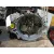 Despiece Caja Cambios para Kia Sportage Iv (Ql, Qle)