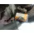 Motor Completo para Renault Megane Iii Hatchback (Bz0/1_, B3_)