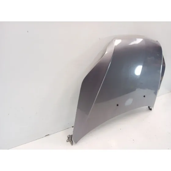 Capot para Chevrolet Aveo / Kalos Hatchback (T250, T255)