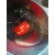 Motor Completo para Seat Altea (5P1)