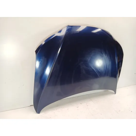 Capot para Hyundai Santa Fe Ii (Cm)