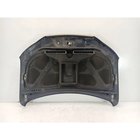 Capot para Hyundai Santa Fe Ii (Cm)