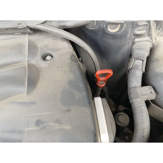 Despiece Motor para Bmw 3 Touring (E46)