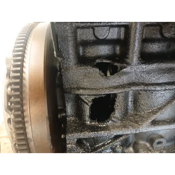 Despiece Motor para Skoda Octavia Ii (1Z3)