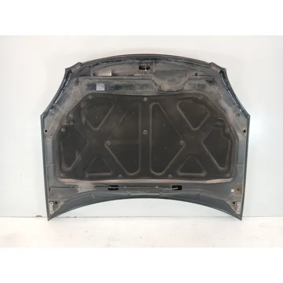Capot para Kia Magentis Ii (Mg)