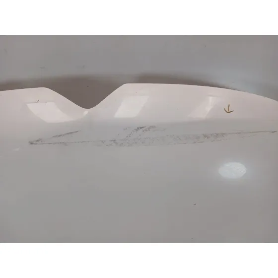 Capot para Citroën C3 Iii (Sx)