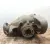 Diferencial Trasero para Bmw Serie 3 Coupe (E92)