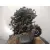 Motor Completo para Seat Ibiza Iii (6L1)