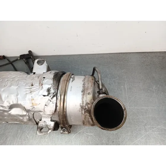 Filtro De Particulas para Citroën C4 Picasso I Monospace (Ud_)