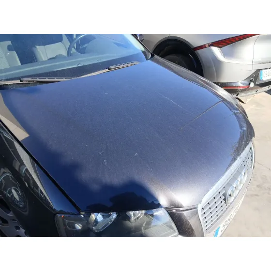 Capot para Audi A3 (8P1)