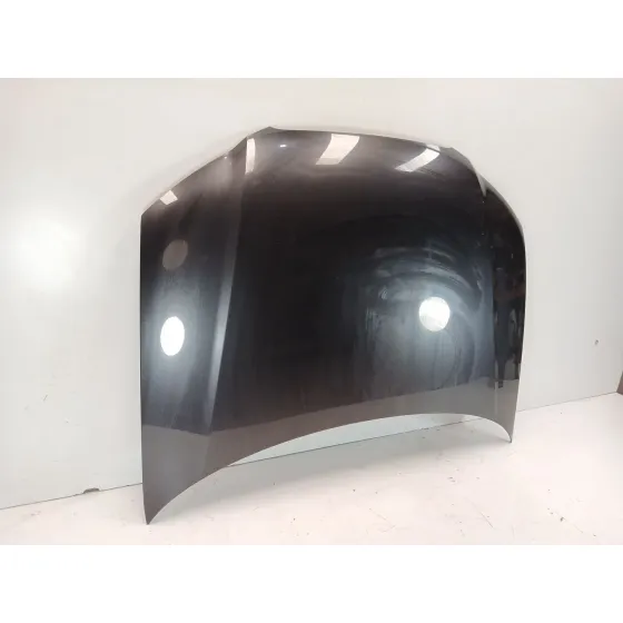 Capot para Audi A3 (8P1)