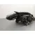 Faro Izquierdo para Mazda 5 (Cr)