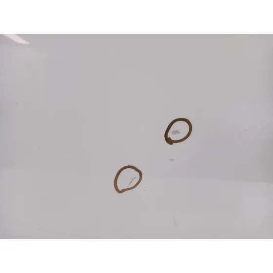 Puerta Trasera Derecha para Infiniti Qx70