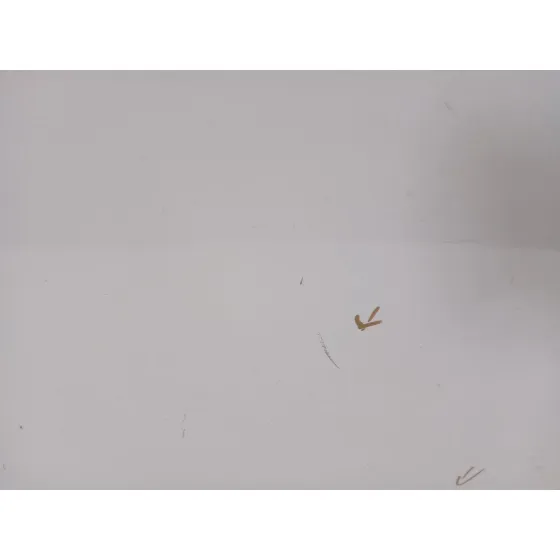 Puerta Trasera Derecha para Infiniti Qx70
