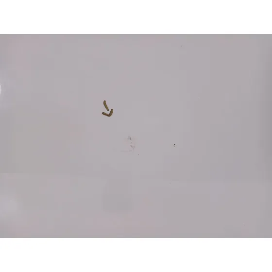 Puerta Delantera Derecha para Alfa Romeo Mito (955_)