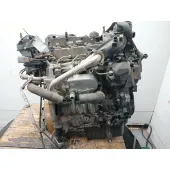 Despiece Motor para Ford Focus Lim.