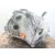 Motor Electrico para Tesla Model 3 (5Yj3)