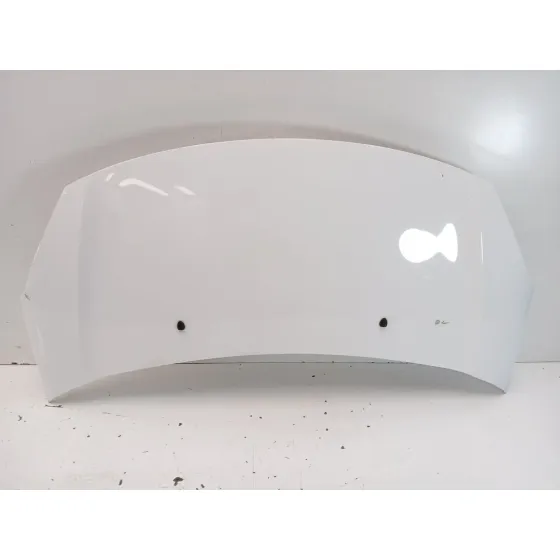 Capot para Citroën C3 Ii (Sc_)