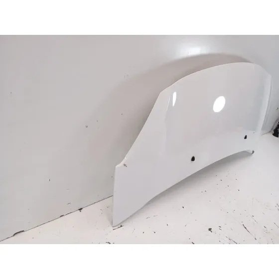 Capot para Citroën C3 Ii (Sc_)