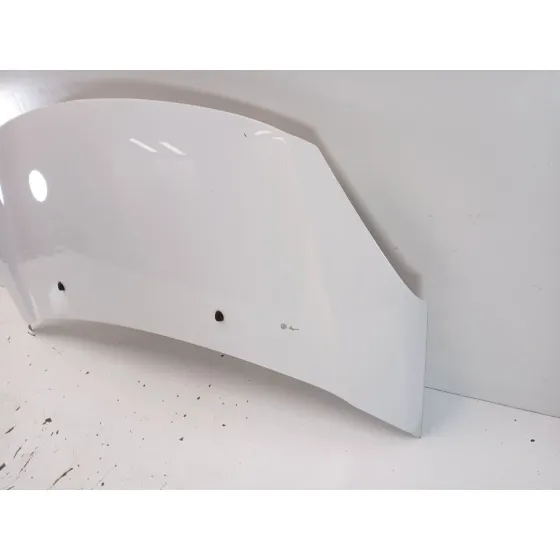 Capot para Citroën C3 Ii (Sc_)