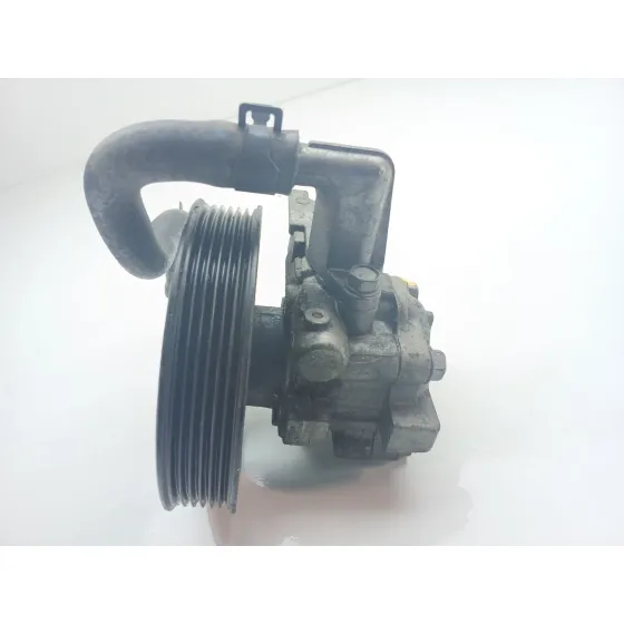 Bomba Direccion para Hyundai Santa Fe (Bm)