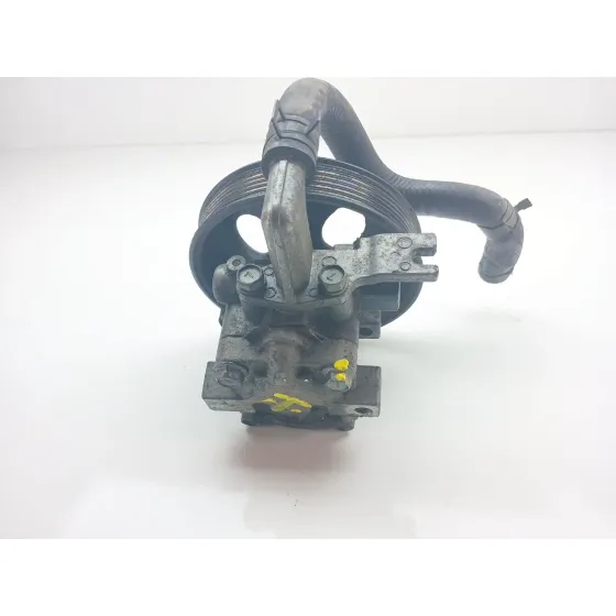 Bomba Direccion para Hyundai Santa Fe (Bm)