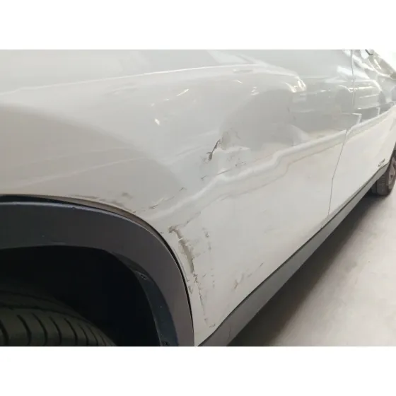Puerta Trasera Derecha para Bmw X1 (E84)