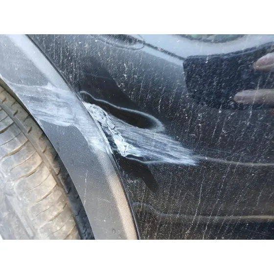 Puerta Trasera Derecha para Kia Sorento Ii (Xm)