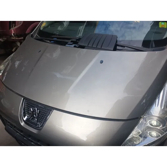 Capot para Peugeot 3008 I Monospace (0U_)