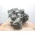 Caja Cambios para Nissan Qashqai Ii (J11, J11_)
