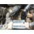 Despiece Motor para Ford C-Max Ii (Dxa/Cb7, Dxa/Ceu)