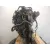 Despiece Motor para Ford C-Max Ii (Dxa/Cb7, Dxa/Ceu)