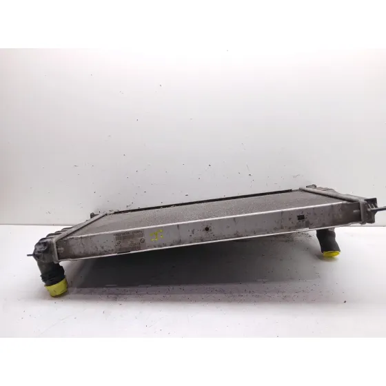 Radiador Agua para Bmw 3 (E90)