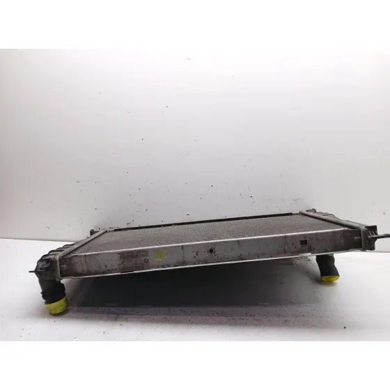 Radiador Agua para Bmw 3 (E90)