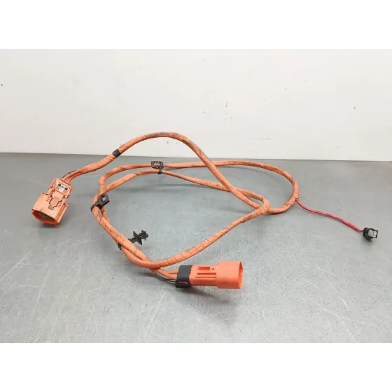 Cable para Tesla Model 3 (5Yj3)
