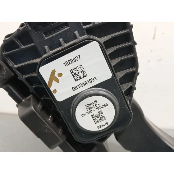 Potenciometro Pedal para Tesla Model 3 (5Yj3)