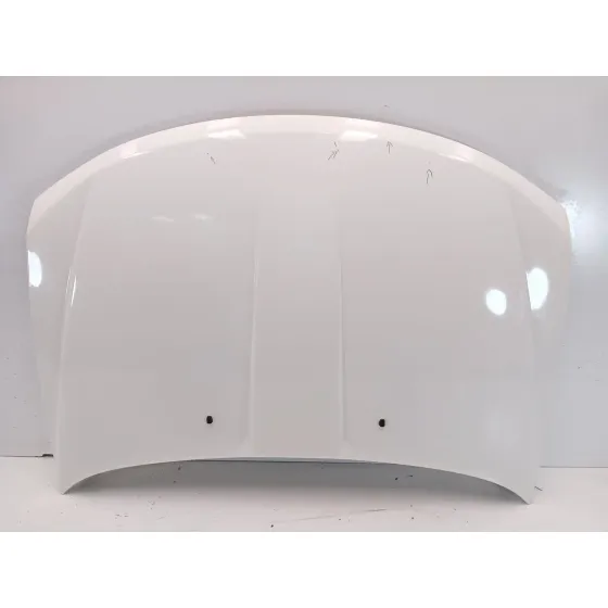 Capot para Fiat Freemont (345_)