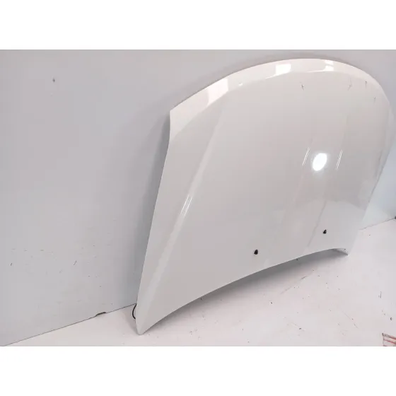 Capot para Fiat Freemont (345_)